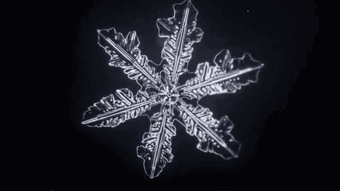 雪花珠宝让你美丽不冻人瓦力棋牌冬季浪漫必