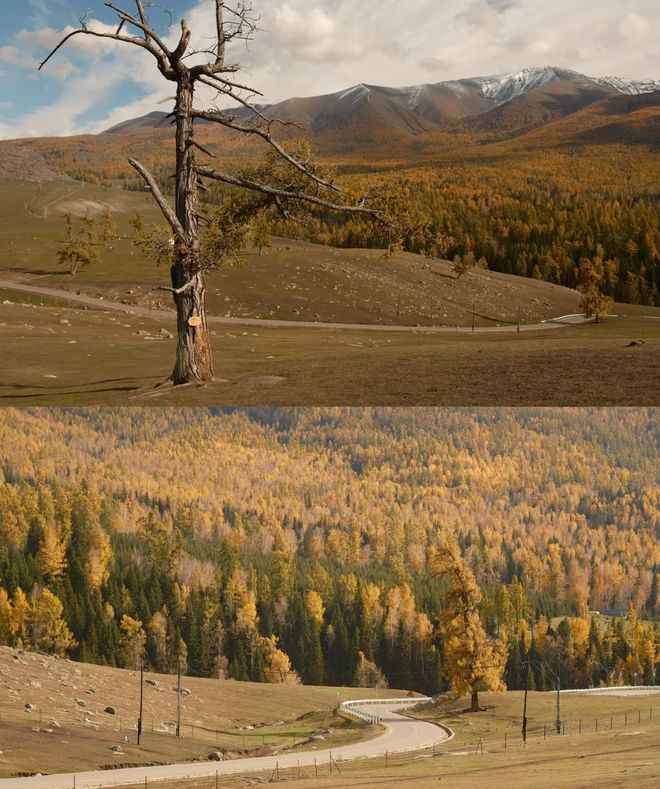 安排10月报团游新疆16天小团安排纯玩瓦力棋牌游戏10月报团游新疆十六天最佳(图3)