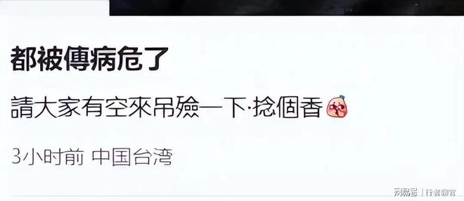 向佐带娃有时异地但豪门日子藏不住了瓦力游戏郭碧婷手撕谣言：婆婆给钱(图3)